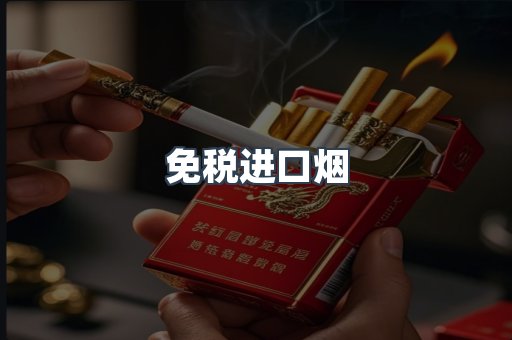 免税进口烟